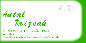 antal krizsak business card